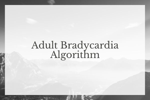 Adult Bradycardia Algorithm